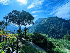 Lavendra Paradise